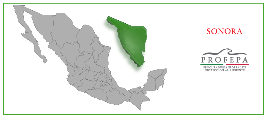 03052016_01.jpg (80709 bytes)