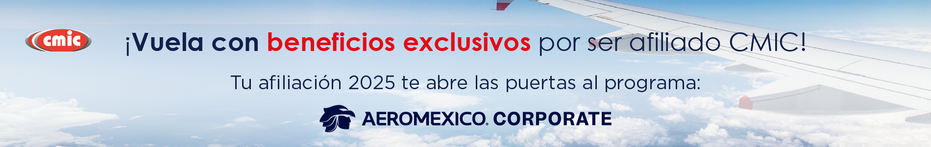 Banner de la videoconferencia