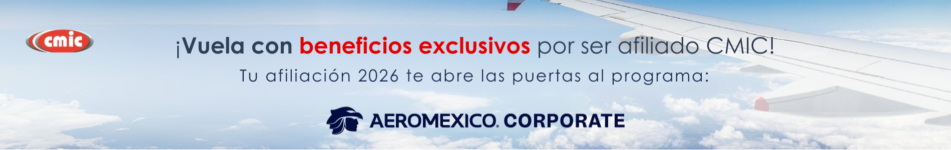 Banner de la videoconferencia