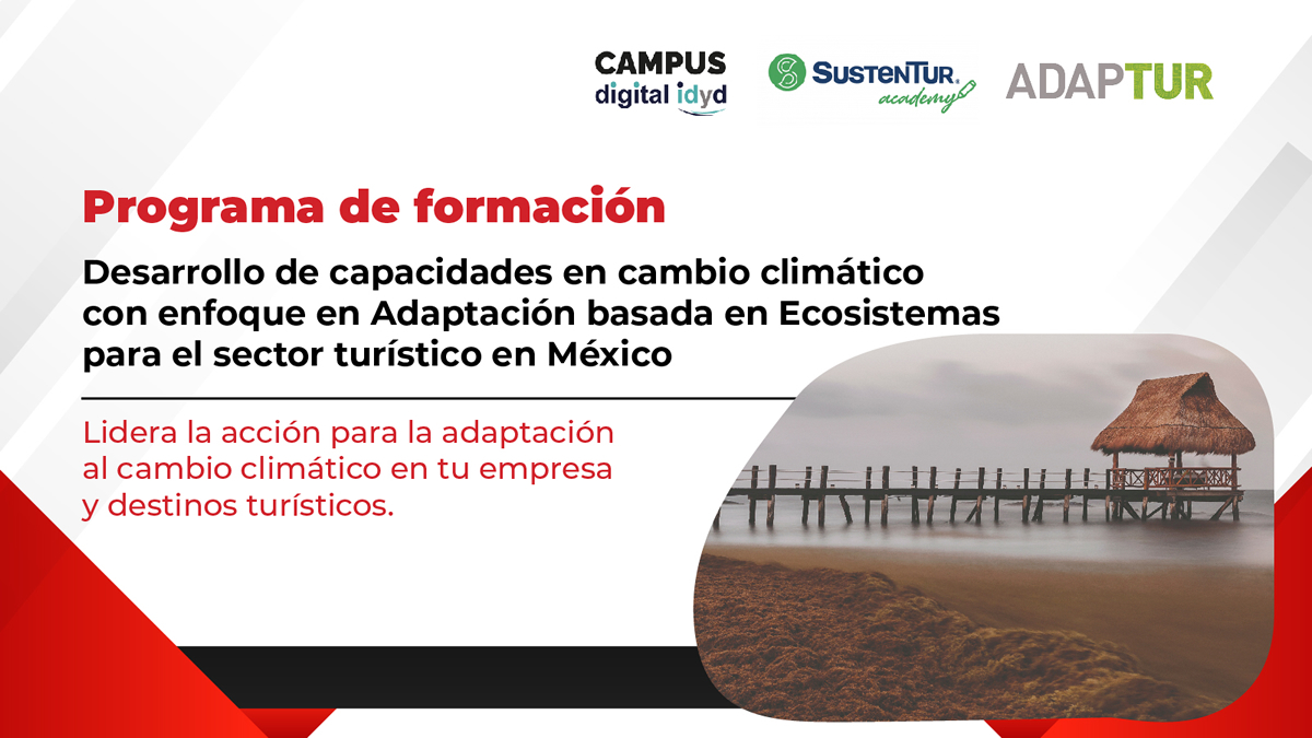 Banner de la videoconferencia