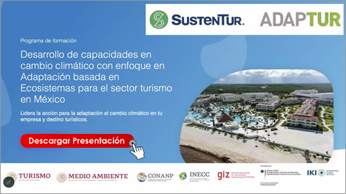 Banner de la videoconferencia