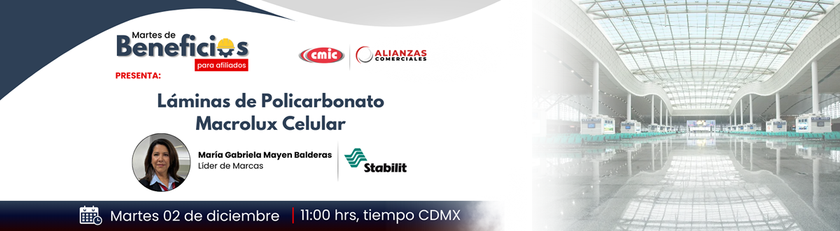 Banner de la videoconferencia