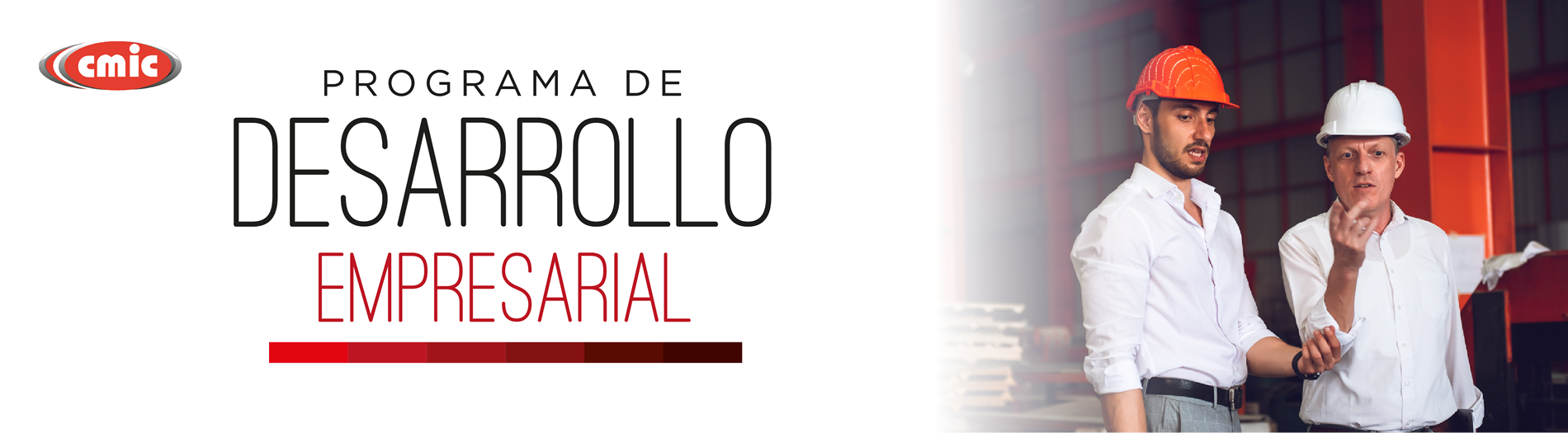 Banner de la videoconferencia