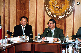 Diputa2a.JPG (44068 bytes)