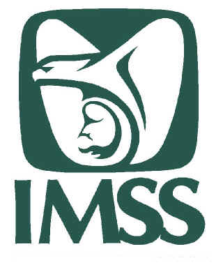 imss.jpg (79544 bytes)