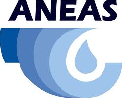 ANEAS.jpeg (6548 bytes)