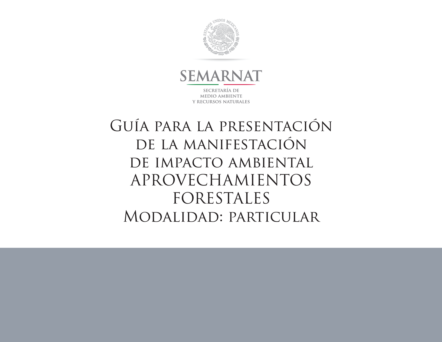 g_forestal.png (142753 bytes)