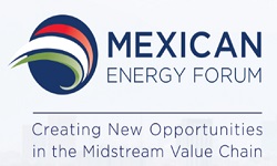 Foro Mexicano de Energía.jpg (17762 bytes)