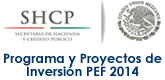 pef2014.jpg (28807 bytes)