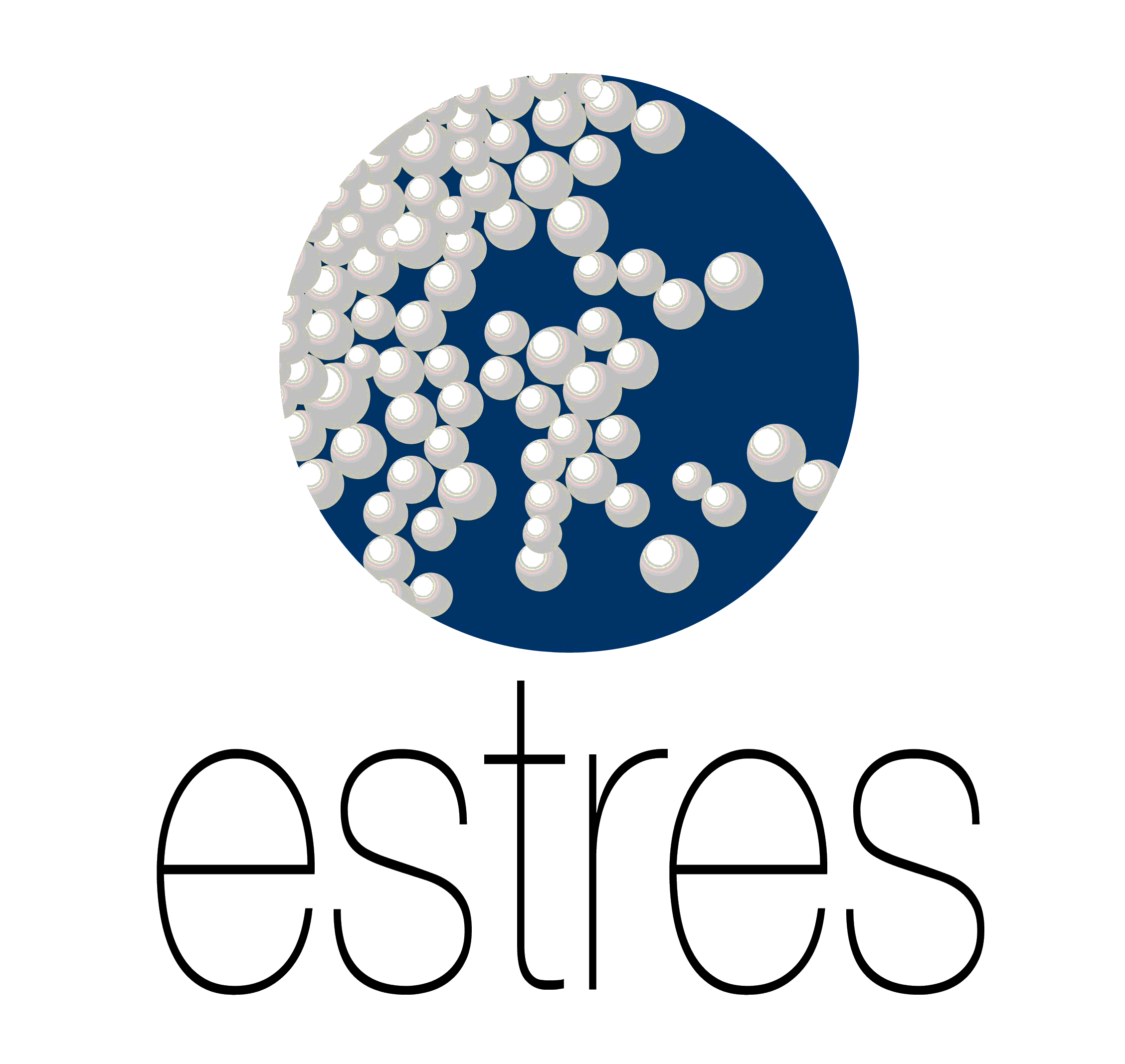 estres.GIF (130399 bytes)